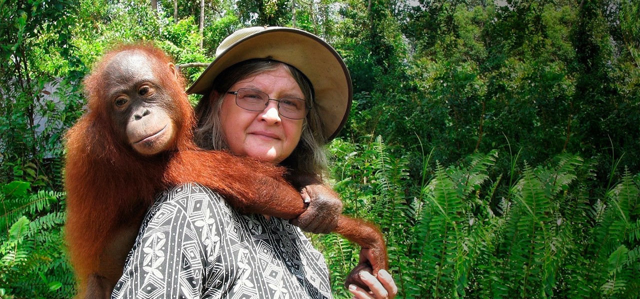 Birute Galdikas berfoto bersama bayi orangutan di punggungnya. Foto: OFI Australia.