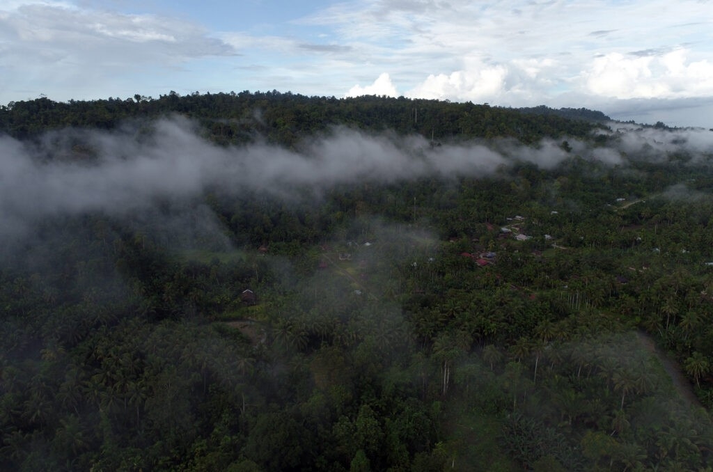 Kawasan hutan di Madobag, Siberut Selatan, Kepulauan Mentawai, pada Desember 2022. Dok. Trend Asia