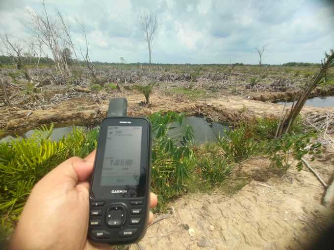 Lokasi perambahan kawasan hutan mangrove di Aceh Tamiang. Foto AWF