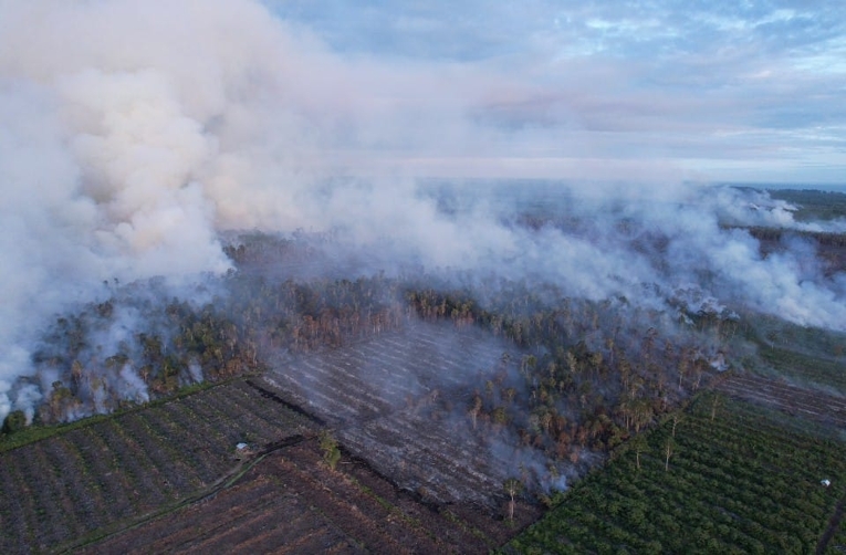 Kebakaran hutan di Ekosistem Leuser Rawa Tripa, Nagan Raya, Aceh, pada 2 Juni 2026. Dok. Istimewa