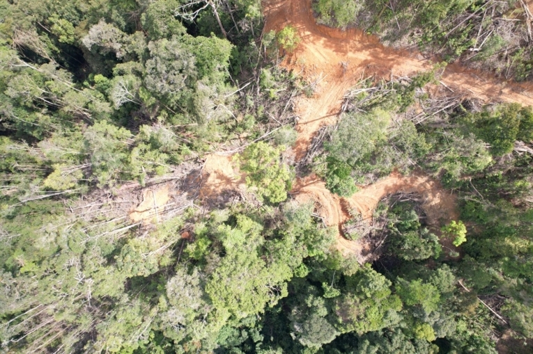Deforestasi di kawasan hutan Beutong Ateuh, Nagan Raya, Aceh. Sumber: APEL Green Aceh