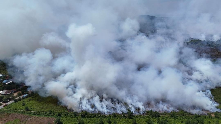 Kebakaran hutan dan lahan di Desa Galang, Sungai Pinyuh, Mempawah, Kalimantan Barat, 9 Februari 2026. Sumber: PMI Kalbar