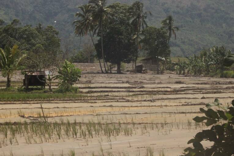 Lahan sawah warga Lebong yang terendam lumpur dan material, diduga akibat aktivitas geothermal. Sumber: Istimewa.