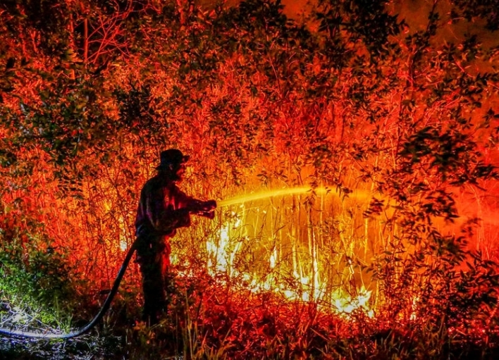 Kebakaran hutan dan lahan pada 2026 di Indonesia. Sumber: Greenpeace Indonesia