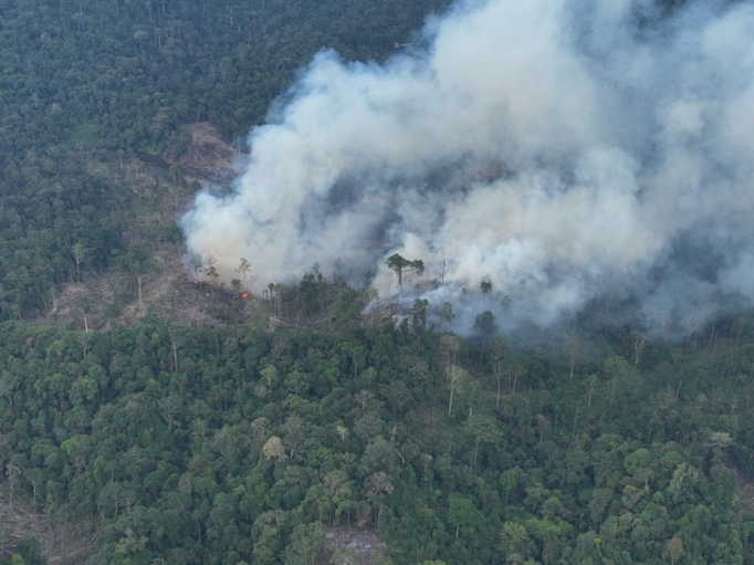 Asap kebakaran hutan membubung di tengah pembukaan lahan di Bentang Alam Seblat, Mukomuko, Bengkulu. Sumber: Istimew