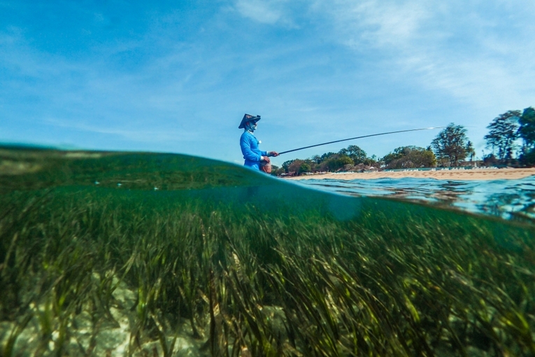 Ikan di padang lamun (Enhalus acoroides) Sanur, Bali, Indonesia. Sumber: Ben Jones, Project Seagrass