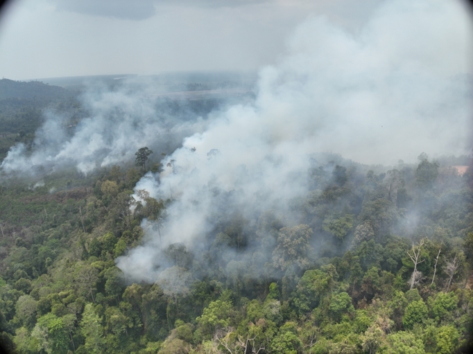 Tampak dari ketinggian kebakaran lahan dan hutan di areal konsesi perusahaan perkebunan kayu PT Tanjung Redeb Hutani. Sumber: Auriga Nusantara.