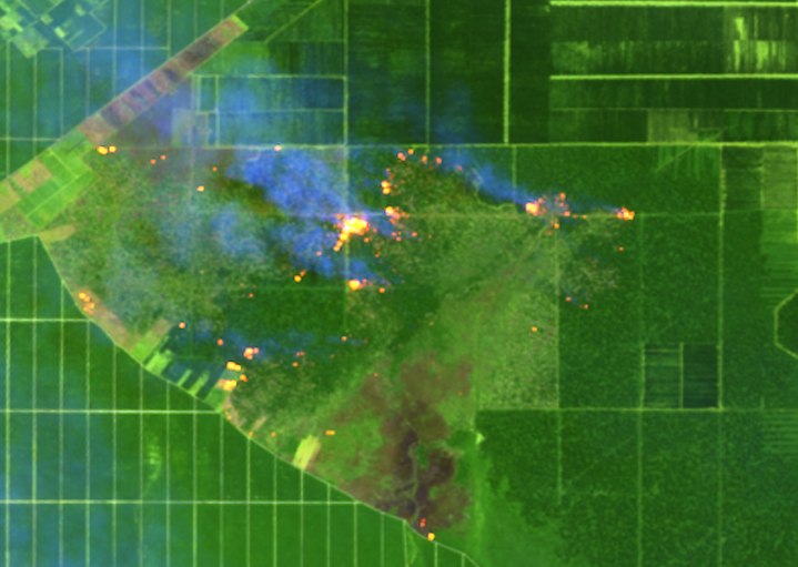 Citra satelit menunjukkan karhutla di sisi selatan konsesi PT Mayawana Persada. Data: Auriga Nusantara