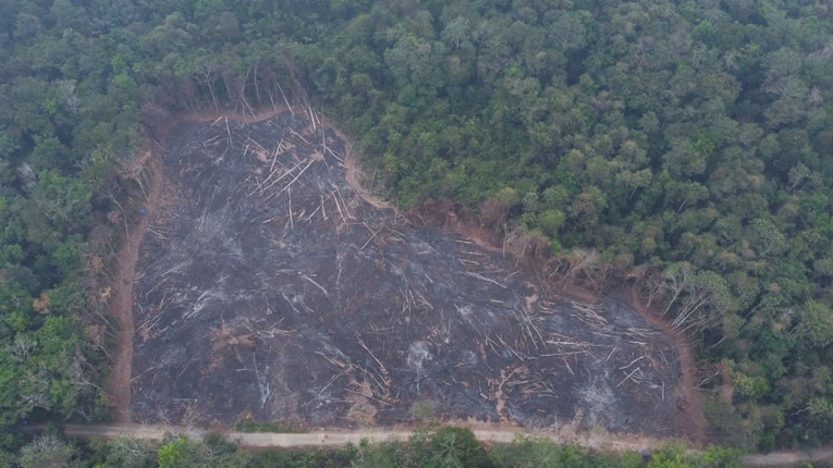 Tampak dari ketinggian areal ladang yang dibuka dengan cara bakar oleh Subarno dan Yadi, di Desa Hayaping. Sumber: Istimewa.