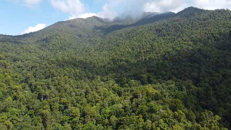 Tampak dari ketinggian bentang alam Tompotika yang kini terancam kegiatan tambang nikel. Sumber: Jatam Sulteng.