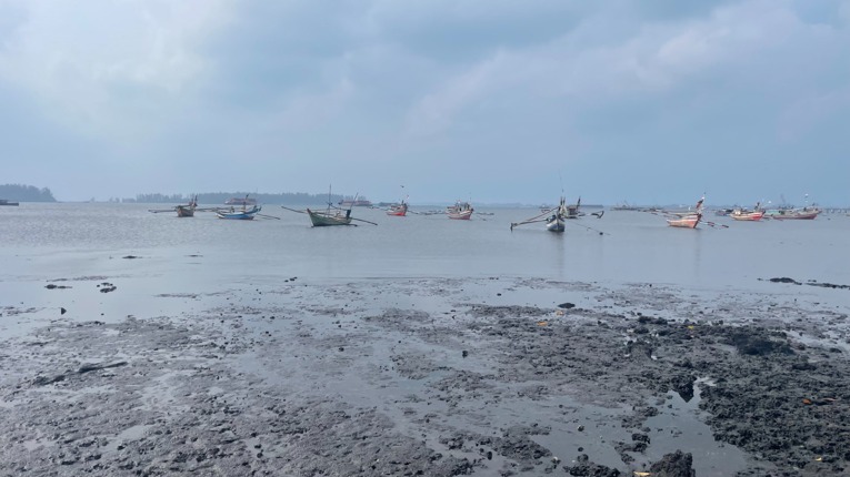 Endapan batu bara di Pesisir Bengkulu. Foto: Kanopu Hijau