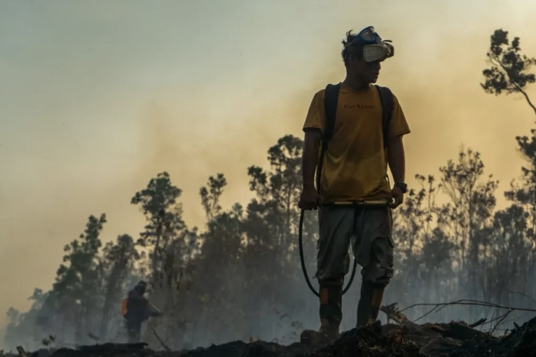 Relawan memadamkan api yang membara di dalam Taman Nasional Tanjung Puting, Kalimantan Tengah, pada 2026. Dok. Fajar Dewanto.
