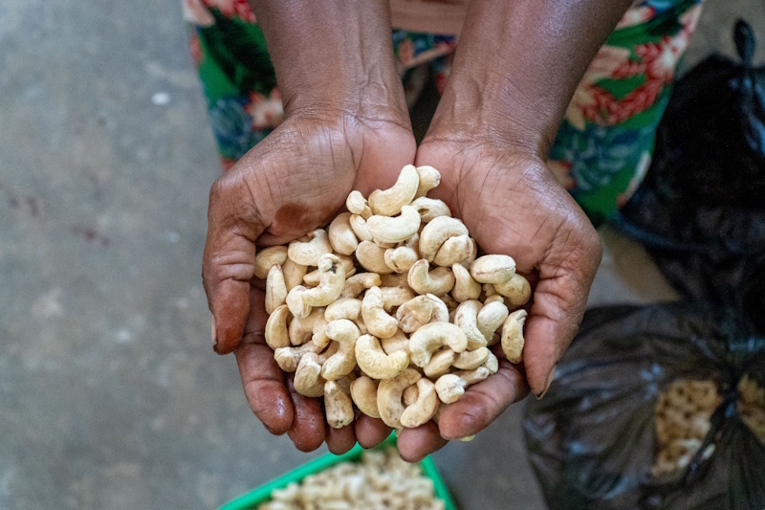 Jambu mete dari Soa Senayu, Papua Selatan. Foto: Dok Kresensia Kurniawati