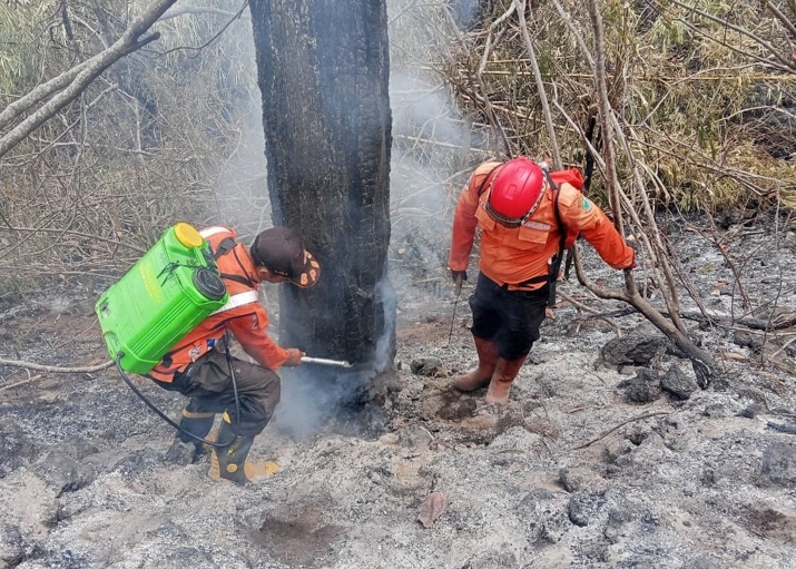 Tim pemadam berupaya memadamkan kebakaran di dalam kawasan hutan Taman Nasional Gunung Ciremai, Kuningan, Jawa Barat. Sumber: BNPB