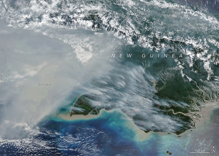 VIIRS (Visible Infrared Imaging Radiometer Suite) pada satelit NOAA-20 menangkap gambar asap dari bagian selatan Papua (11/10/ 2026). Foto: NASA
