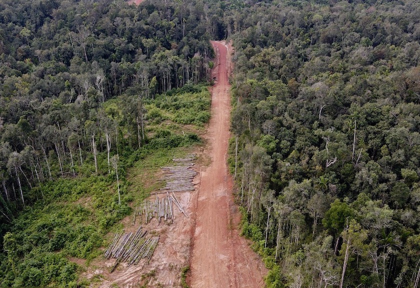 Foto udara memperlihatkan kawasan hutan yang ditebang perusahaan tanpa HGU di Distrik Jari, Kabupaten Boven Digoel, Papua. Foto: Yayasan Pusaka
