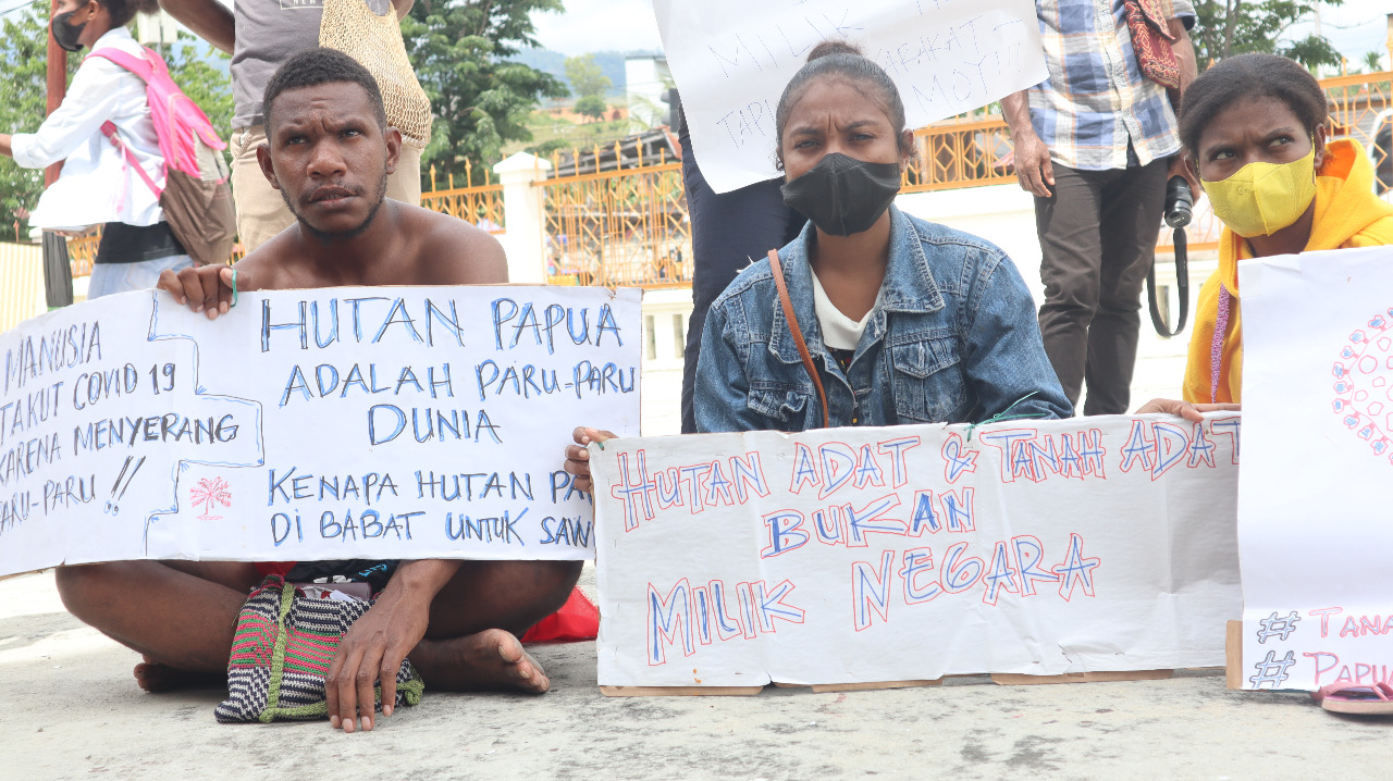 Papua masyarakat suku dan adat Mengenal Asal
