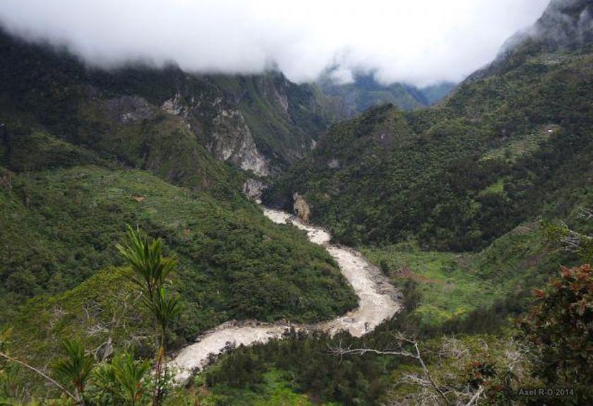Hutan di Lembah Baliem, Papua Barat. Foto: Alex Drainville/Flickr 