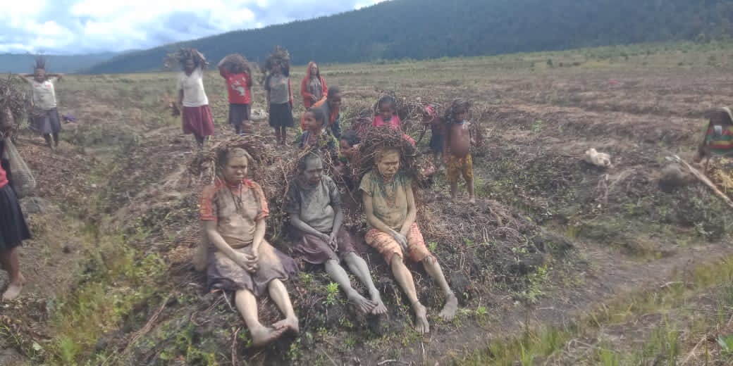 Kutukan Kekayaan Alam di Tanah Papua