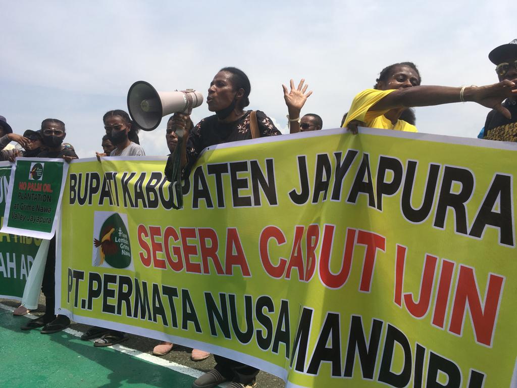  Papua: Akhir September 2022 Batas Waktu untuk Cabut Izin PT PNM