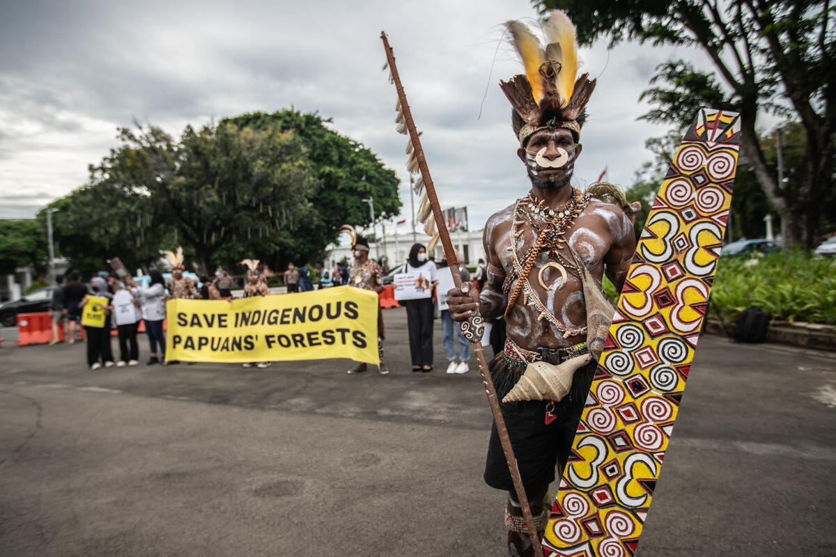 Tanah Dirampas Industri Sawit, Suku Awyu Papua Banding ke Manado